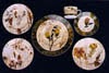 Five Pieces